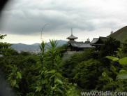 thm_DSC00736.jpg