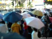 thm_dsc00037.jpg
